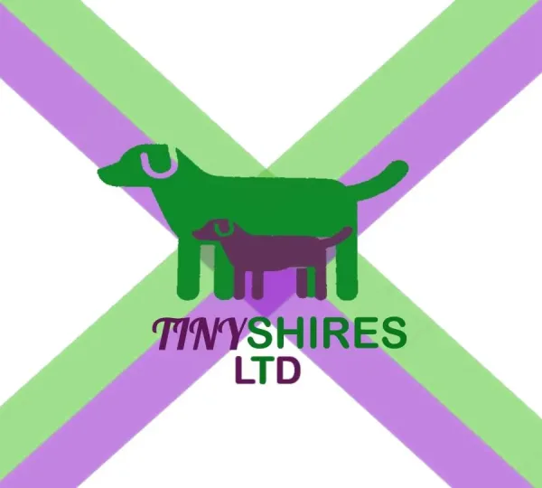 TINYSHIRES LTD