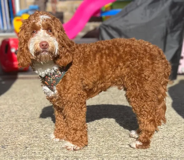 Photo 3